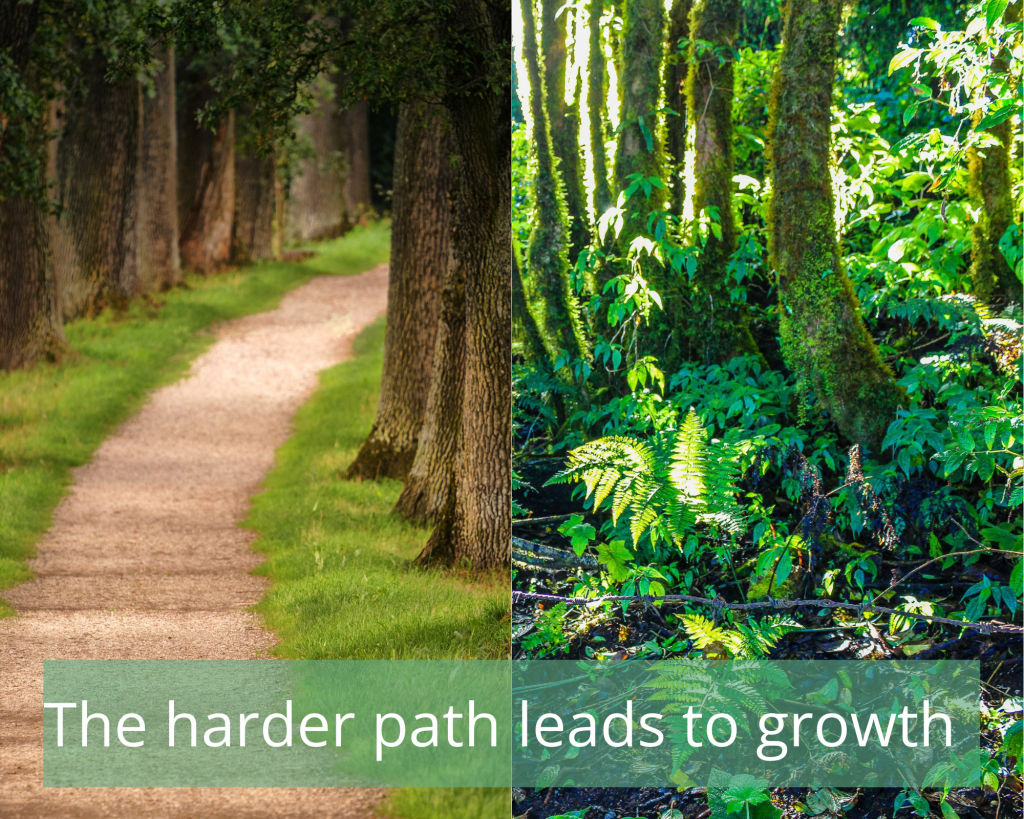 intrinsic motivation to exercise - clear path versus overgrown jungle path metaphor
